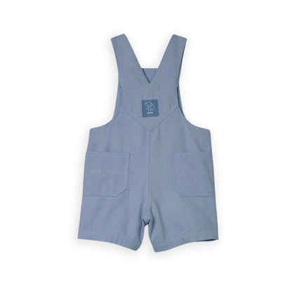 Overall Celeste