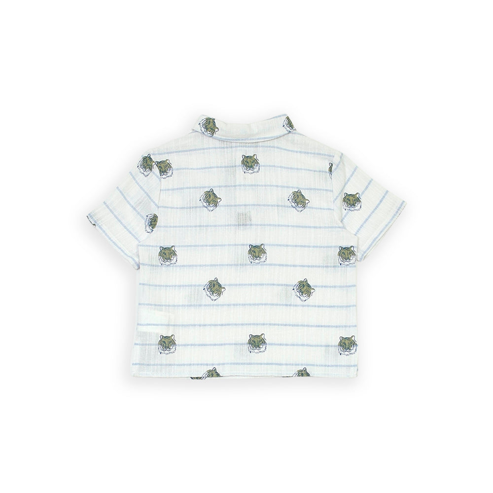 Polo Blanca