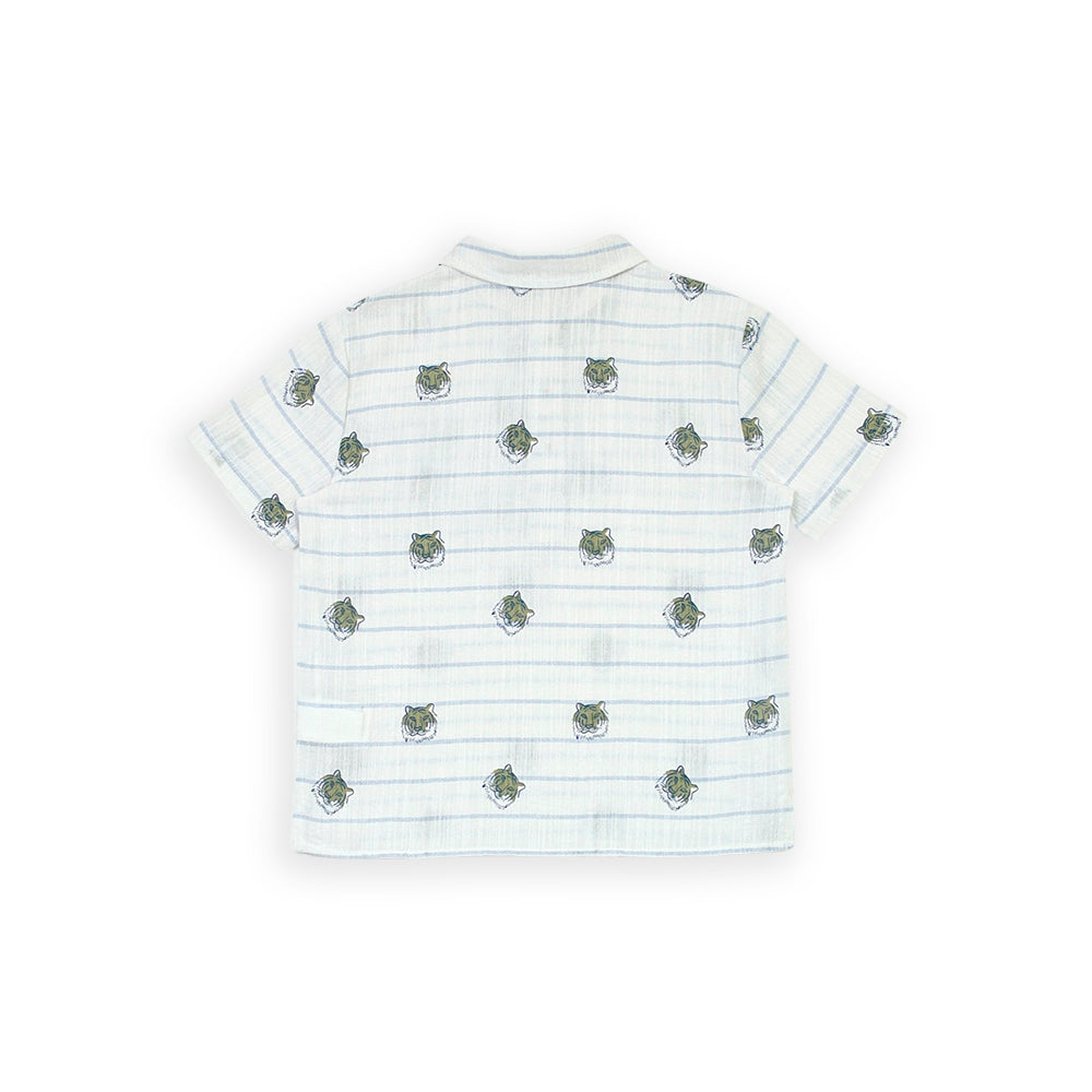 Polo Blanca