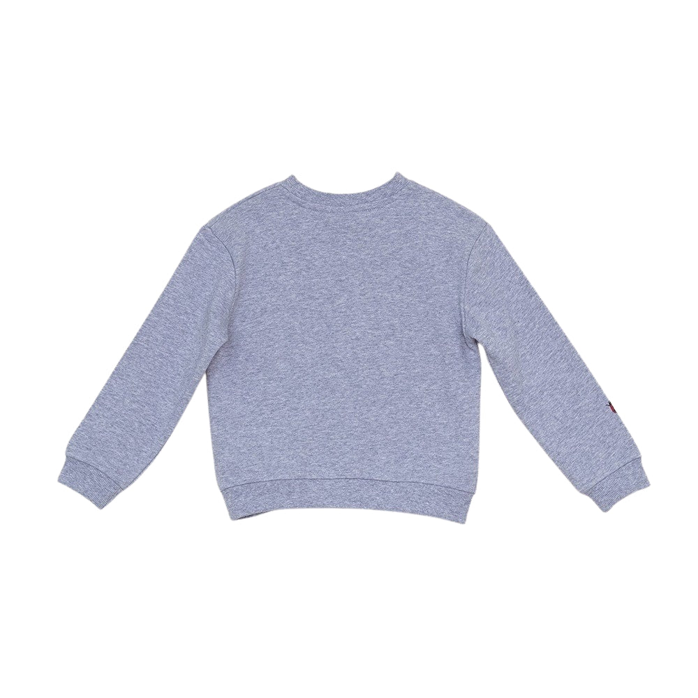 Sweater Gris